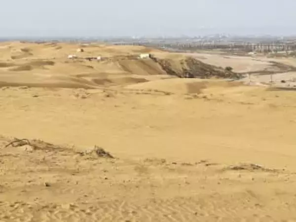 「アフリカの砂漠！？」〝奇跡の絶景〟花々であふれる砂漠が話題「信じられない」「天国の原風景」「自然って凄いな」「感動的です」