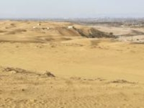 「アフリカの砂漠！？」〝奇跡の絶景〟花々であふれる砂漠が話題「信じられない」「天国の原風景」「自然って凄いな」「感動的です」