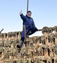 アナウンサー同士〝結婚＆第1子誕生〟電撃発表から3年…〝娘とお菓子作り〟子育て奮闘中の若狭敬一アナ、休日ショットに反響「パパのお顔になってる」