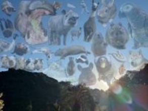 「飼育員が他の動物園に行くと…」⇒愛があふれすぎる光景に反響「やっぱりこうなりますよね」「最高の職業病」