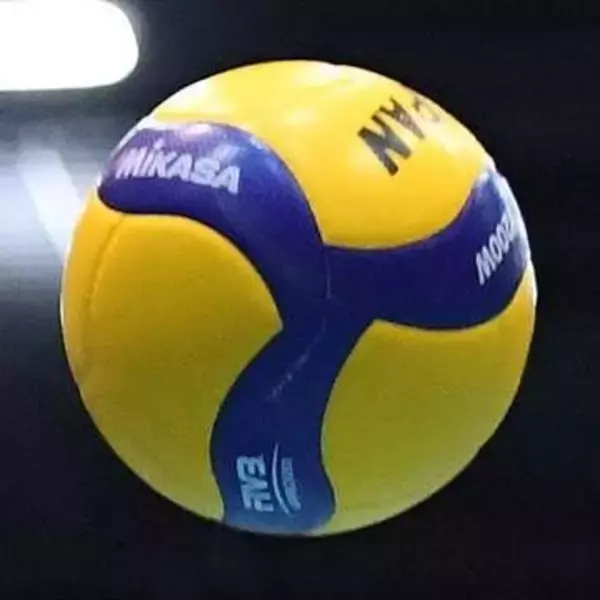 【SVリーグ・男子】水町泰杜がトップサーバー初受賞　トップスコアラーはボワイエ