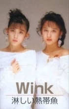 大ヒット連発で一世風靡したアイドル！活動停止から29年...一時は〝介護職員〟に56歳歌手近影にSNS騒然「好きだったな」「相変わらず可愛らしい」