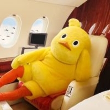 全身が氷に覆われ…チキンラーメンひよこちゃん〝極寒〟姿に「冷凍チキン」「無茶しやがって…」「お湯かけてあげる」の声