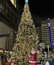 「本物のサンタさんだぞ！」〝公認サンタ〟来日ショットが話題「トナカイさんお留守番？」「やることがかわいすぎる！」