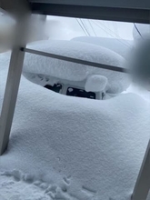 「ちょっと放置してたら車消えた」豪雪の青森〝衝撃ショット〟グラドル熊谷麻音の投稿に「ほぼ埋まってる」「ヤバイよね」の声