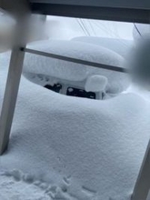 「ちょっと放置してたら車消えた」豪雪の青森〝衝撃ショット〟グラドル熊谷麻音の投稿に「ほぼ埋まってる」「ヤバイよね」の声
