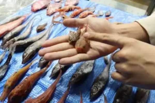 「パワーワードすぎ」「ロマン全開」高級食材入り〝深海汁〟が話題　水族館提供の衝撃メニューに「見た目のインパクトが！」「いくらするんだ？」の声