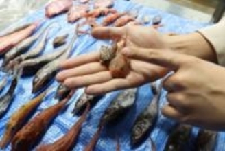 「パワーワードすぎ」「ロマン全開」高級食材入り〝深海汁〟が話題　水族館提供の衝撃メニューに「見た目のインパクトが！」「いくらするんだ？」の声