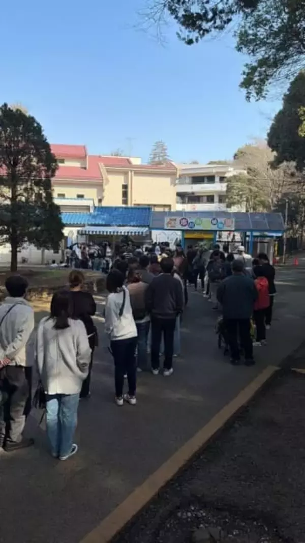 母はぬいぐるみ...育児放棄の子ザルに応援の声が大拡散中！「がんばれパンチ」「逞しく生きるんだぞ!」「泣いちゃった」「1人じゃないよ!」