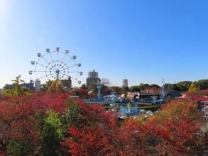 「貴重音声」珍しい〝ヒグマのおなら〟に反響続々「音量MAXで何回もリピしてまう」「可愛過ぎて愛おしい」「健康で何よりです」の声