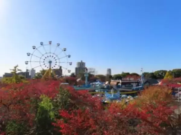 「貴重音声」珍しい〝ヒグマのおなら〟に反響続々「音量MAXで何回もリピしてまう」「可愛過ぎて愛おしい」「健康で何よりです」の声