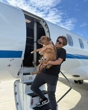 「飼い犬にびびってる」山本由伸、愛犬との共演にタジタジ…⁈「マウンドの由伸くんと別人！」「カルロス激しい性格なん？」CM動画が再注目