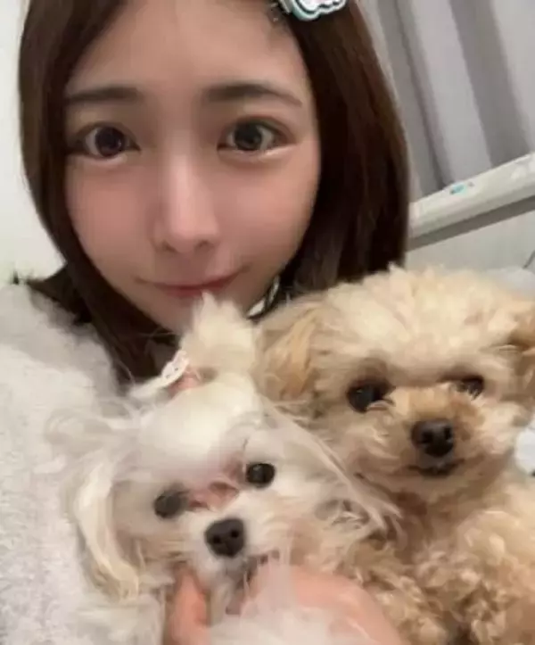 「バクッ」犬に食べられるグラドル…衝撃ショット公開の市原薫に反響「ご主人様を見つけて嬉しいのかな」