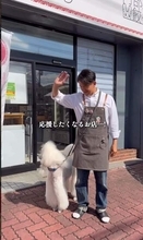 「本人が接客を…」千葉の餃子店に〝俳優本人〟登場でSNS騒然！阿部力の近影が話題「渋くなってる」「良い年齢の重ね方」