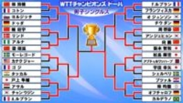 【卓球】張本智和は準決勝敗退　林昀儒とフルゲームの熱戦もあと一歩及ばず〈WTTチャンピオンズ ドーハ〉