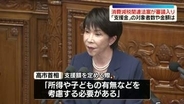 消費減税関連法案が審議入り　「支援金」めぐり論戦…対象者数や金額は