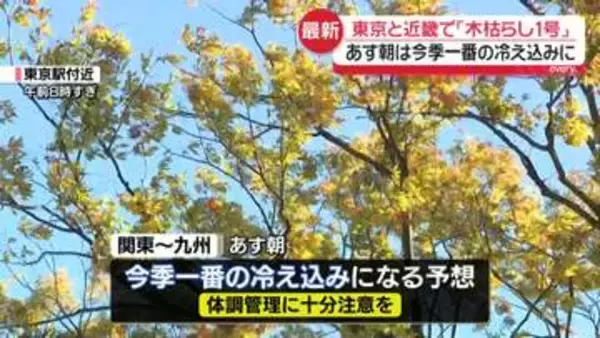 東京地方と近畿地方で「木枯らし1号」　冬の訪れ告げる