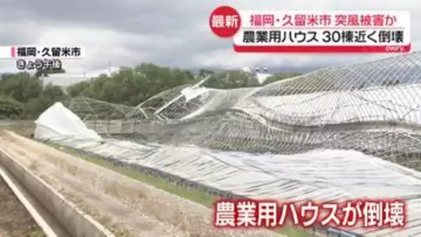 突風被害か…農業用ハウス30棟近く倒壊　福岡・久留米市