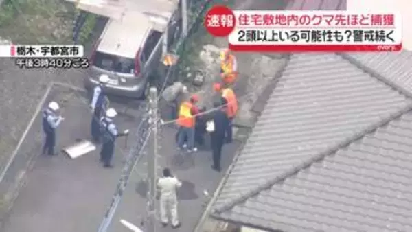 【速報】住宅敷地内のクマを捕獲　2頭以上いる可能性も？　警戒続く　栃木・宇都宮市