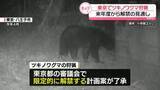 「東京でツキノワグマ狩猟　来年度から“20年ぶり”解禁の見通し」の画像1
