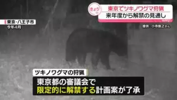 東京でツキノワグマ狩猟　来年度から“20年ぶり”解禁の見通し