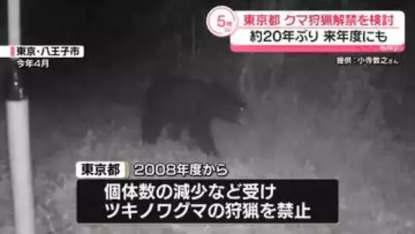 東京都　クマ狩猟解禁を検討…約20年ぶり　来年度にも