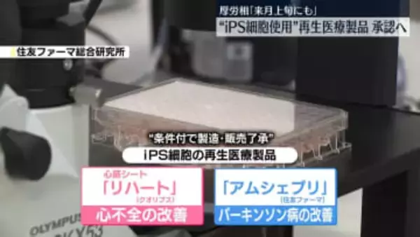 来月上旬にも“iPS細胞使用”再生医療製品承認へ