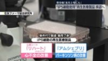 来月上旬にも“iPS細胞使用”再生医療製品承認へ
