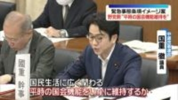 「緊急事態条項」イメージ案について各党が意見表明　野党側“平時の国会機能維持を”　衆院憲法審査会
