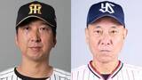 「【阪神vsヤクルト】7回裏に降雨のため試合が中断　阪神が2点リード　プロ初先発の茨木秀俊が6回無失点」の画像1
