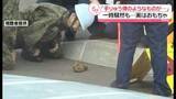 「「手りゅう弾のようなものが…」警察が避難呼びかけ一時騒然も…実はおもちゃ　北海道釧路市」の画像1