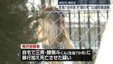 「生後7か月の息子に暴行加え死亡させたか…32歳の母親逮捕　息子の死因は「外傷性脳障害」」の画像1
