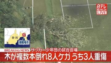 【速報】サッカー少年団の試合会場で木が複数本倒れる　8人巻き込まれ女性3人重傷　静岡・御殿場市