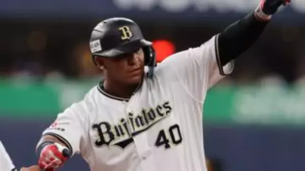 【ヤクルト】新助っ人・セデーニョの獲得を発表　本人コメントも　オリックスや西武でプレーしNPBで31本塁打をマーク
