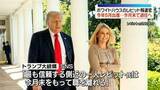 「ホワイトハウスのレビット報道官が今月末で退任へ　今年5月に出産」の画像1