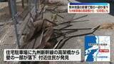 「熊本地震の影響で　九州新幹線の高架橋から壁の一部が落下　10年前の地震でも同様の被害」の画像1