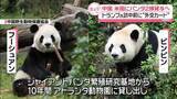 「中国　米国にパンダ2頭貸与へ　トランプ氏訪中前に“外交カード”」の画像1