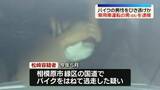 「バイクの男性をひき逃げか　乗用車運転の男（65）を逮捕　神奈川・相模原市」の画像1