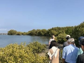 台湾のブルーカーボン推進に日本も協力！長崎・大村湾の温暖化対策モデルを台湾へ  海で藻場を育成しCO2削減