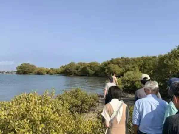 台湾のブルーカーボン推進に日本も協力！長崎・大村湾の温暖化対策モデルを台湾へ  海で藻場を育成しCO2削減