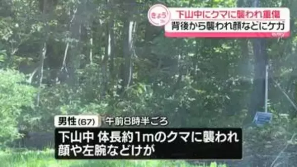 登山の67歳男性がクマに襲われ重傷　秋田・北秋田市