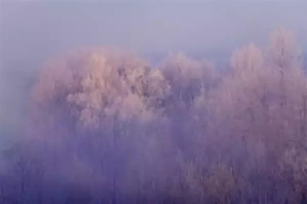 「日本一寒いまち」はどこ？ 最低気温だけではみえない寒さとは 陸別町では寒さを逆手に“震えるイベント”も