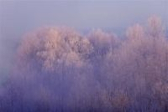 「日本一寒いまち」はどこ？ 最低気温だけではみえない寒さとは 陸別町では寒さを逆手に“震えるイベント”も