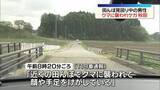 「秋田県内で今年初の人への被害　クマに襲われ、田んぼ見回り中の男性ケガ」の画像1