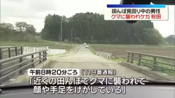 秋田県内で今年初の人への被害　クマに襲われ、田んぼ見回り中の男性ケガ