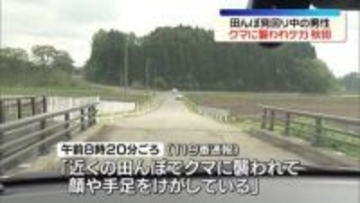 秋田県内で今年初の人への被害　クマに襲われ、田んぼ見回り中の男性ケガ