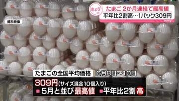 たまごの平均価格、2か月連続で最高値　平年比2割高…1パックあたり309円