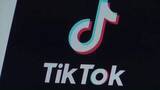 「TikTok、米司法省に4億ドル（約636億円）支払いで和解」の画像1