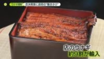 EU提案「ウナギ規制」　反対多数で否決　背景に見えた日本政府の“働きかけ”