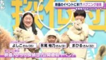 ガンバレルーヤ・よしこ「誰が柚乃ちゃんだかわからない」　羊衣装の永尾柚乃と本物の羊に囲まれて混乱